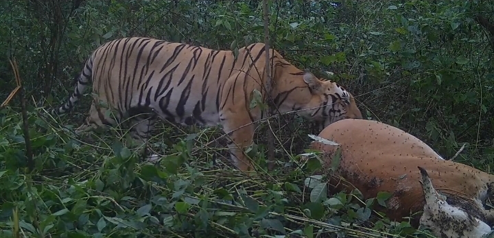 Screenshot_20250826-141623_WhatsApp