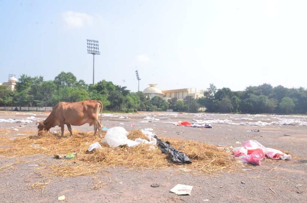 IMG_20251022_115758_196