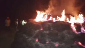 IMG_20251129_135034_629