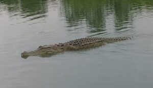 IMG_20260807_094736_984